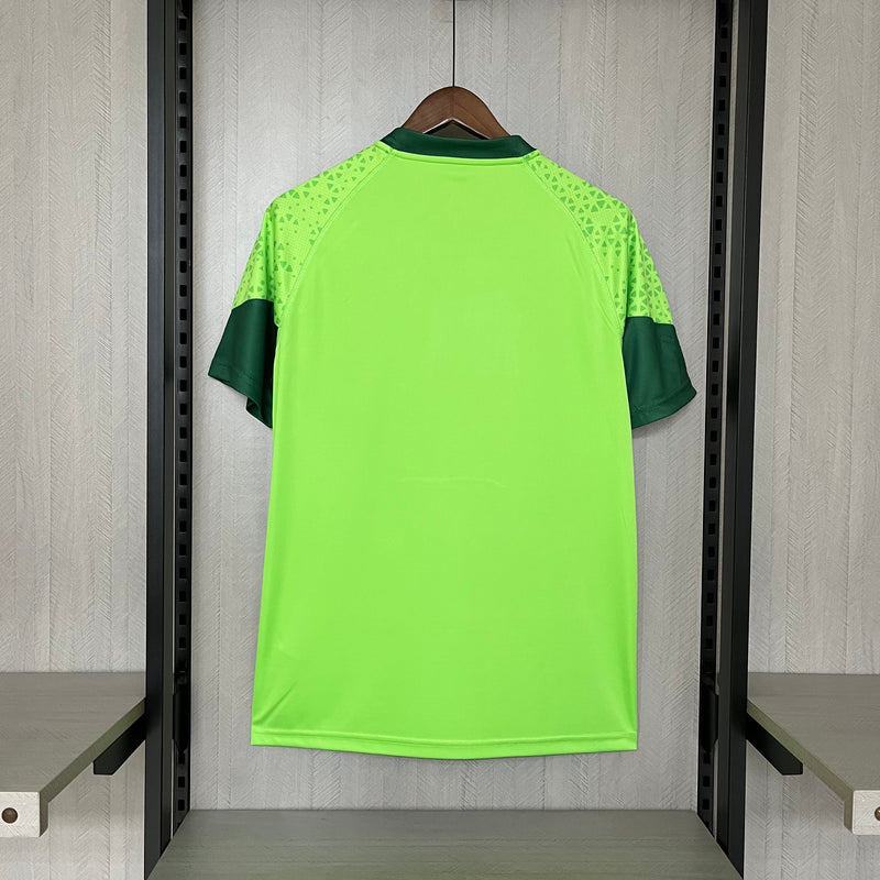 Camisa Treino Palmeiras 24/25 Puma - Verde