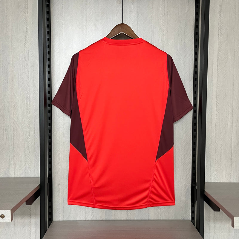 Camisa Treino Internacional 24/25 - Adidas