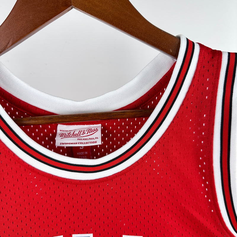 Chicago Bulls Hardwood Classics 2016/17 - WADE - Mitchell & Ness