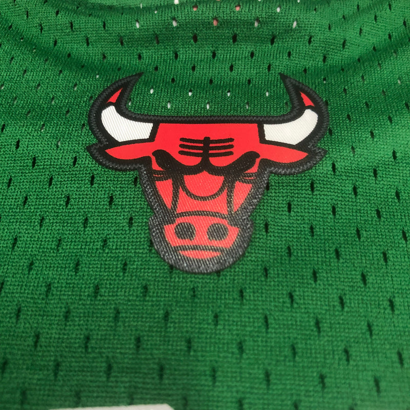 Chicago Bulls Hardwood Classics 2008/09 - ROSE - Mitchell & Ness